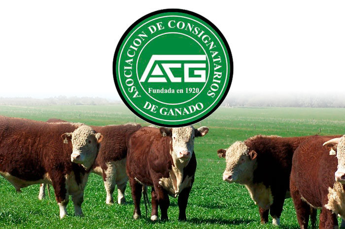 ACG