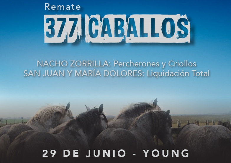 remate-indarte