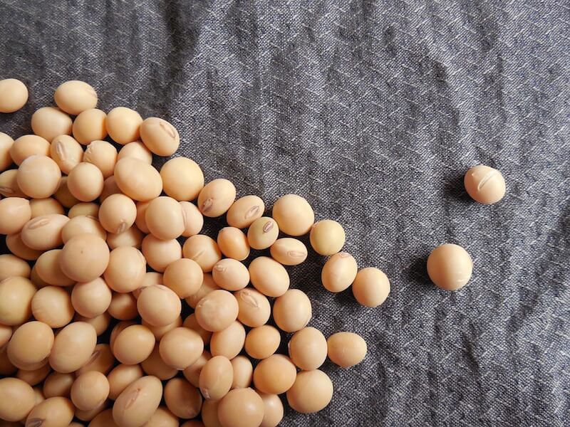 soybeans-182295_960_720-1-1