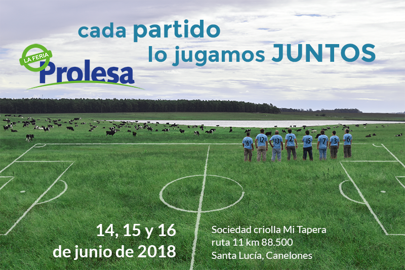 AficheFeriaProlesa18