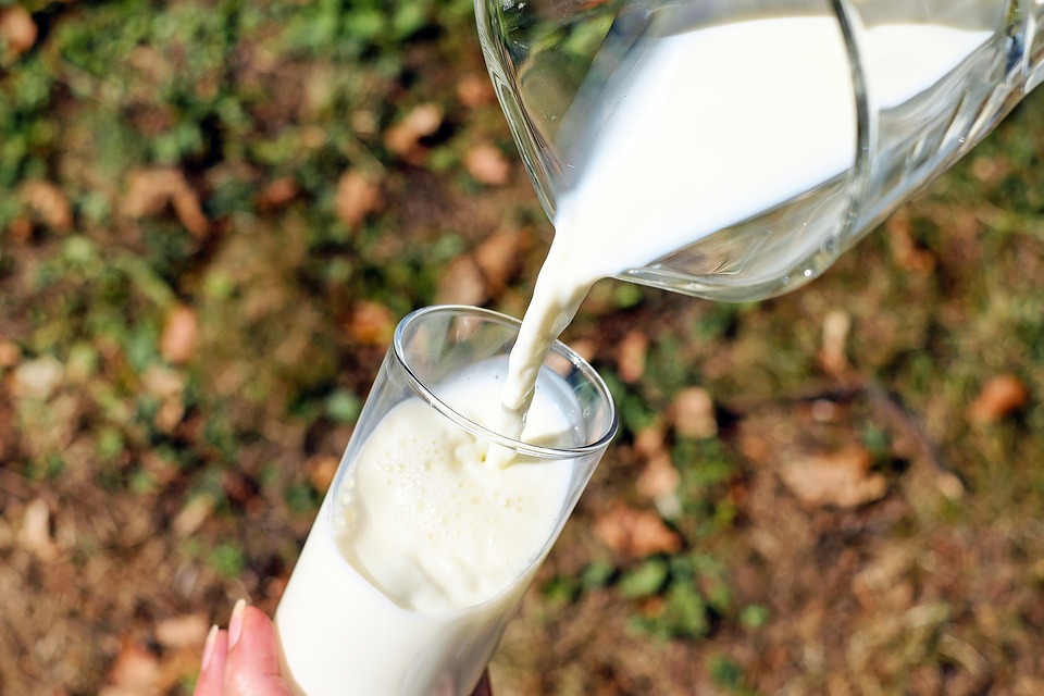 leche-vaso-11-17-1