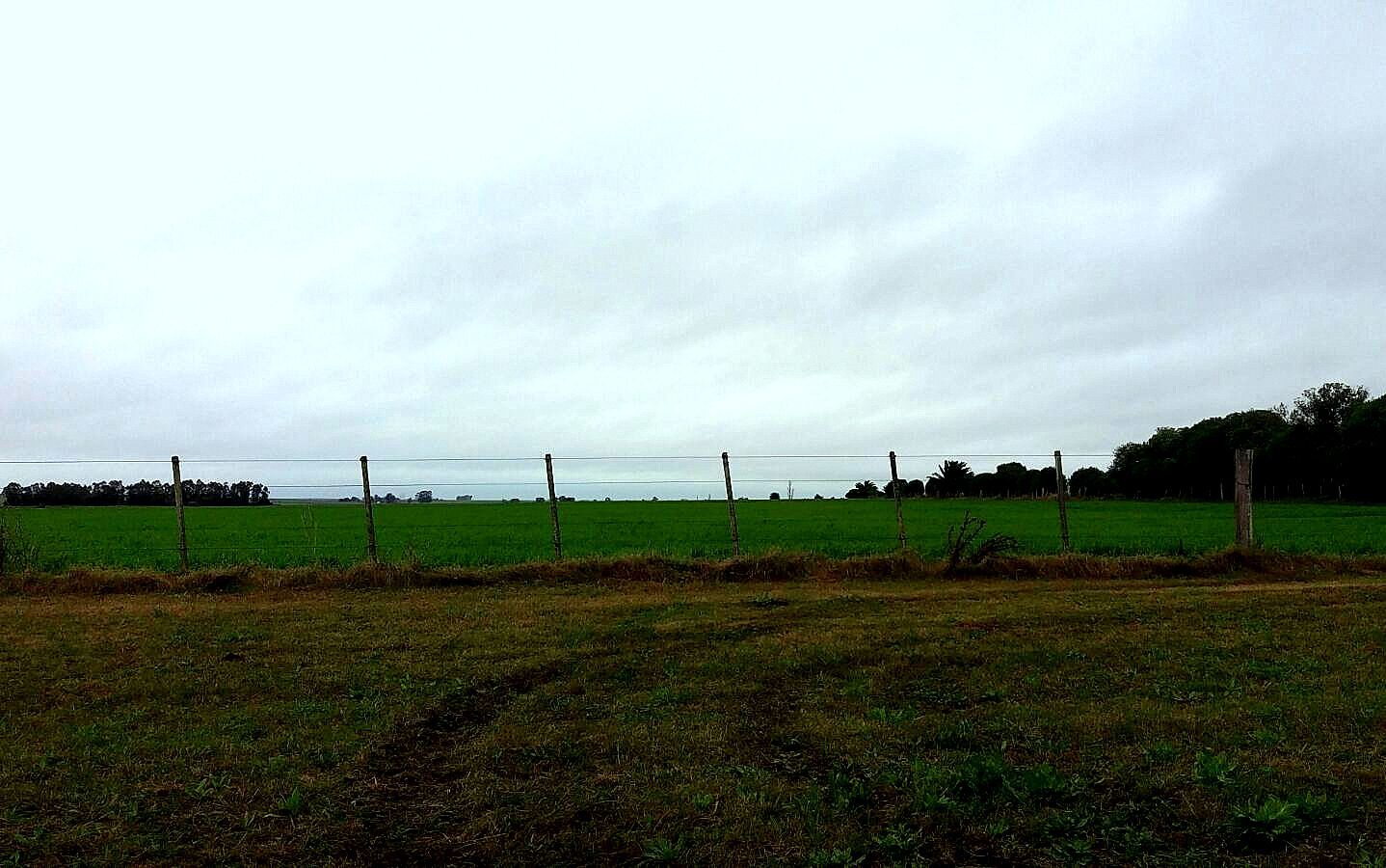 campo-lluvia-7-17