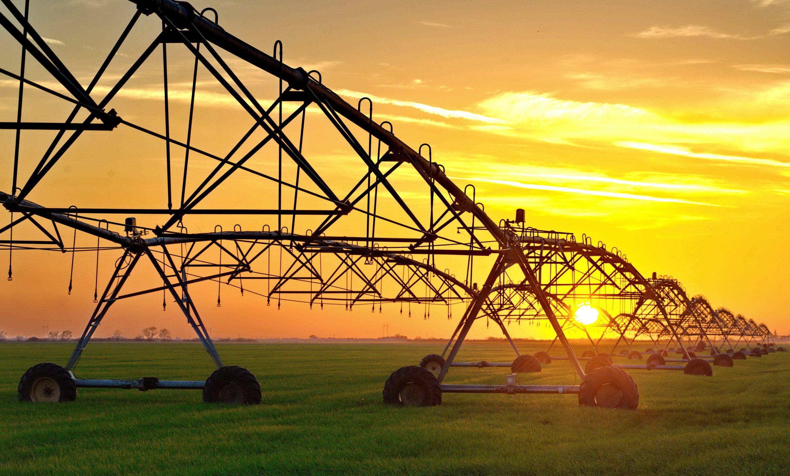 irrigation of a field in sunset