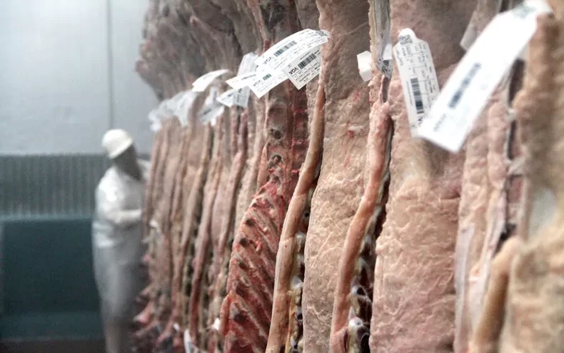 carne-vacuna-frigorifico-3