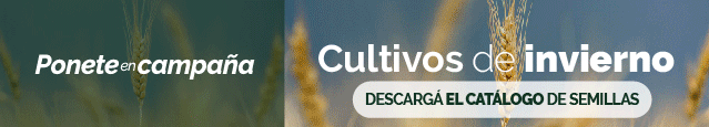 ADP – Institucional (alargada)