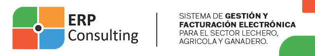 ERP CONSULTING – Institucional (alargada)