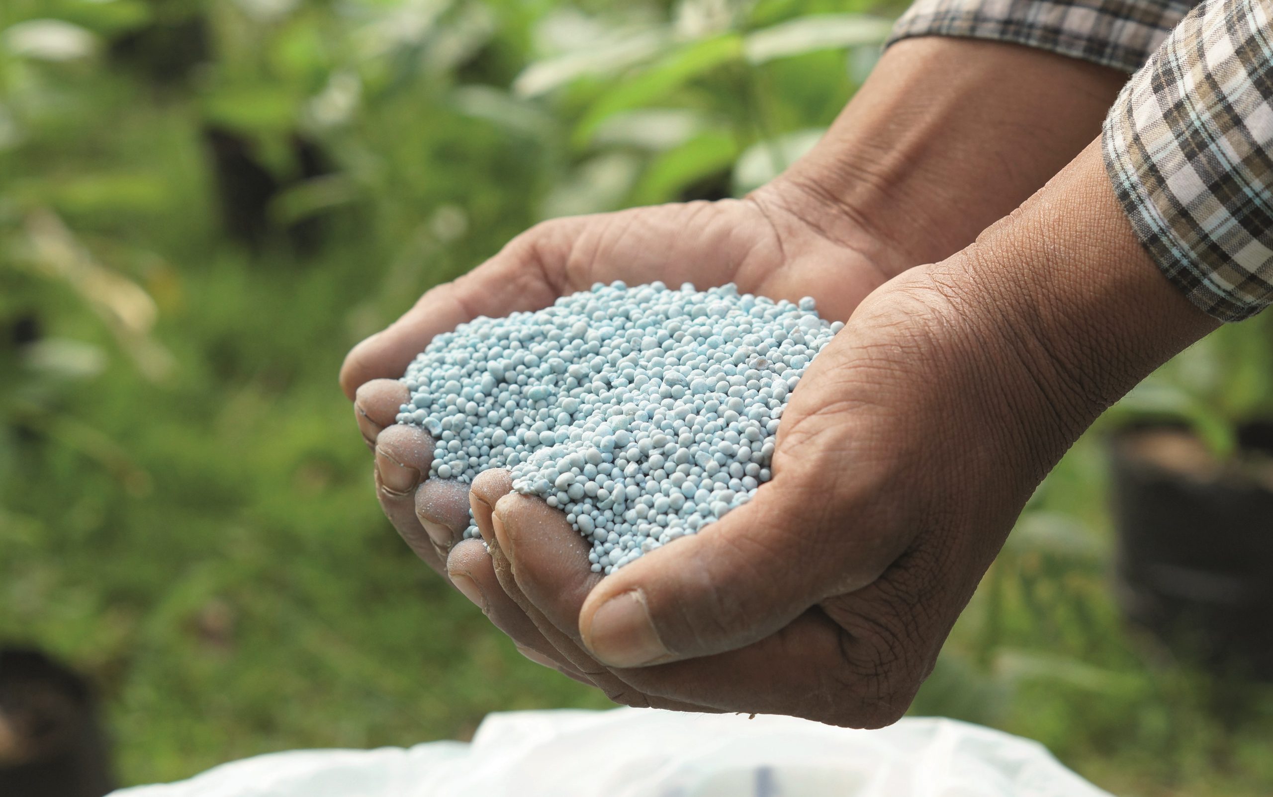 hands holding artificial fertilizer