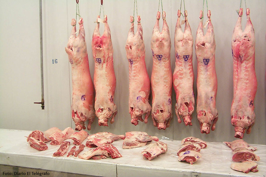 carne-ovina-Diario-Cambio