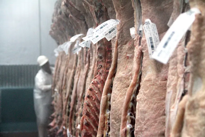 carne-vacuna-frigorifico-2