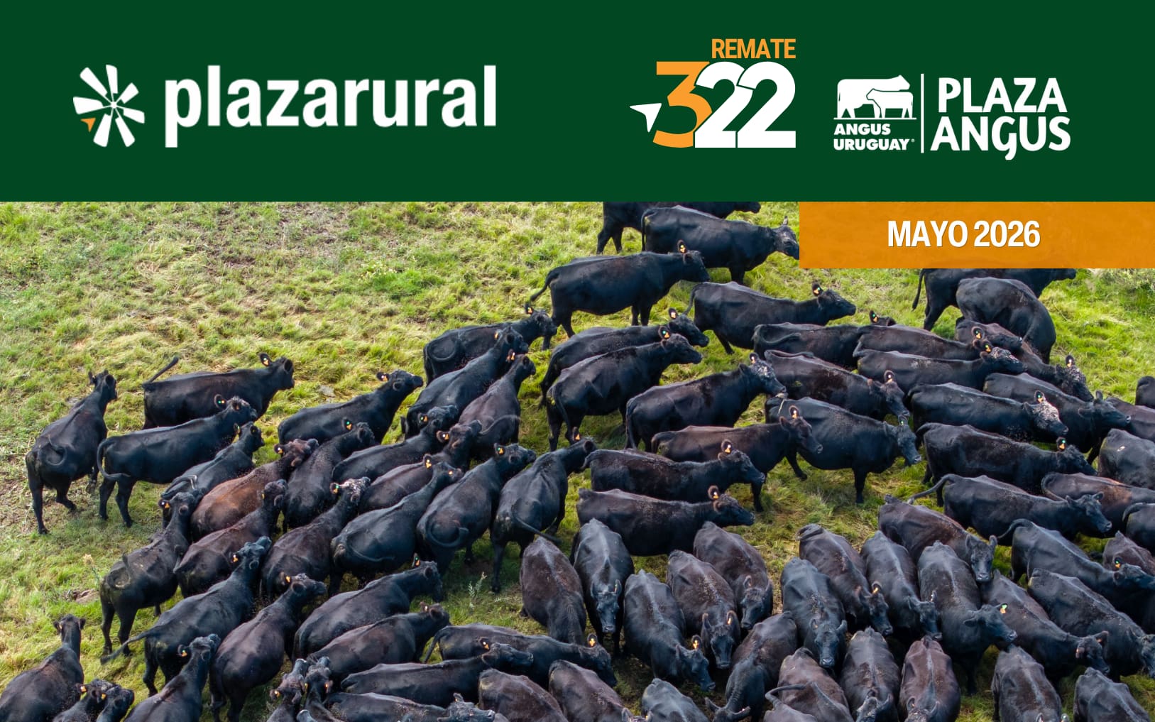 Plaza-Rural_13052026