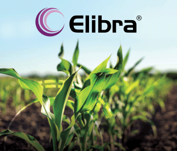 Syngenta ELIBRA (cuadrada)