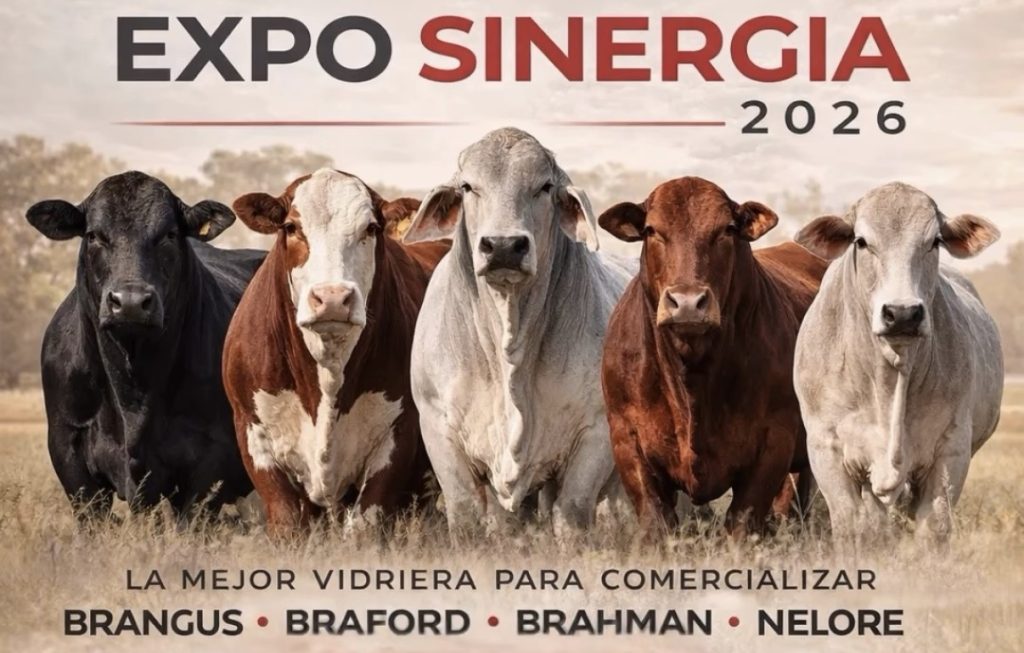 expo-sinergia-2026