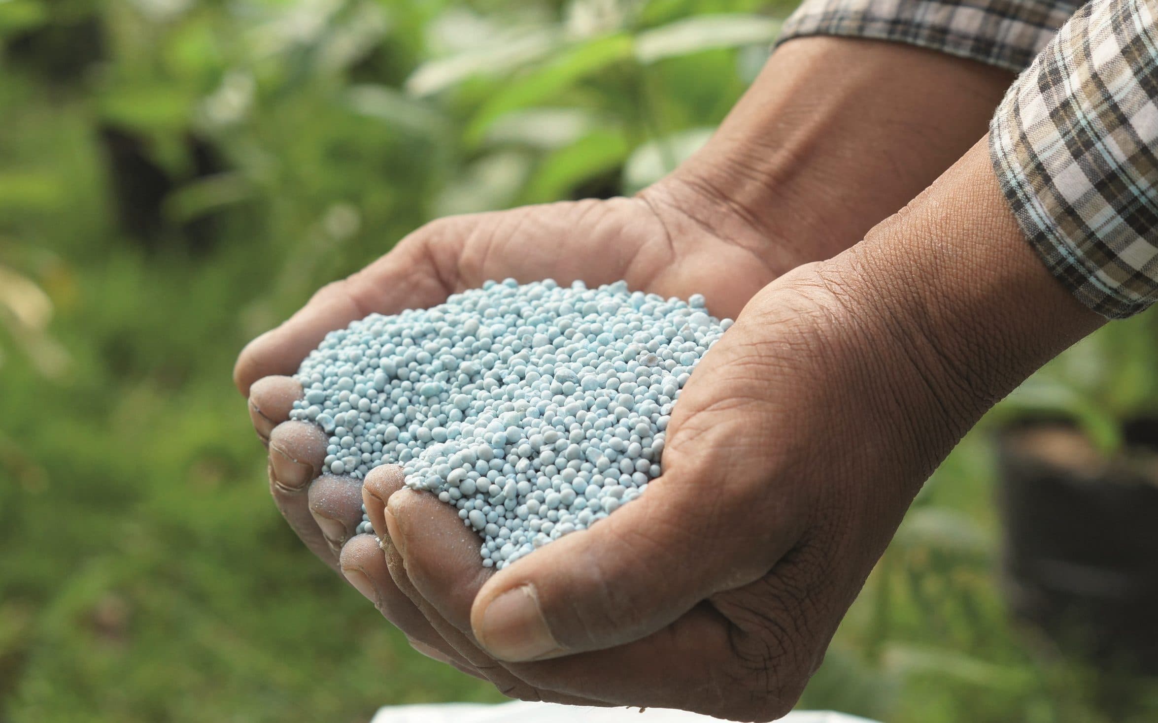 Urea ok_20072026