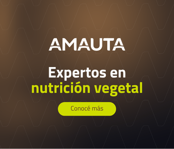 AMAUTA Institucional (cuadrado)