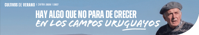 ADP – Maíz (alargada)