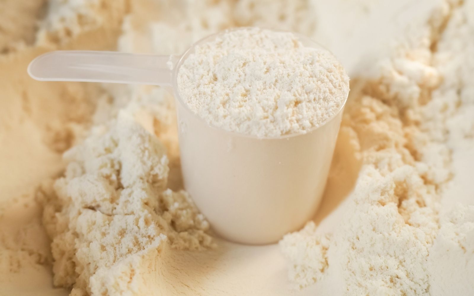 Leche en polvo