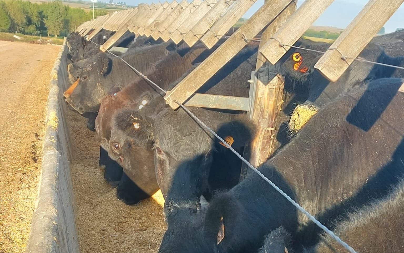 corral